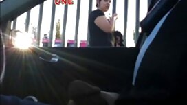 بيرل تقدم الكحول سكس ...